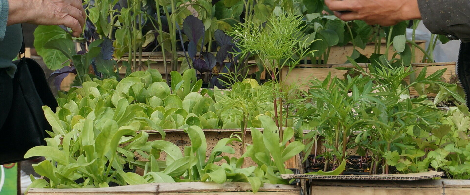 Condat sur Ganaveix en Corrèze dans le 19