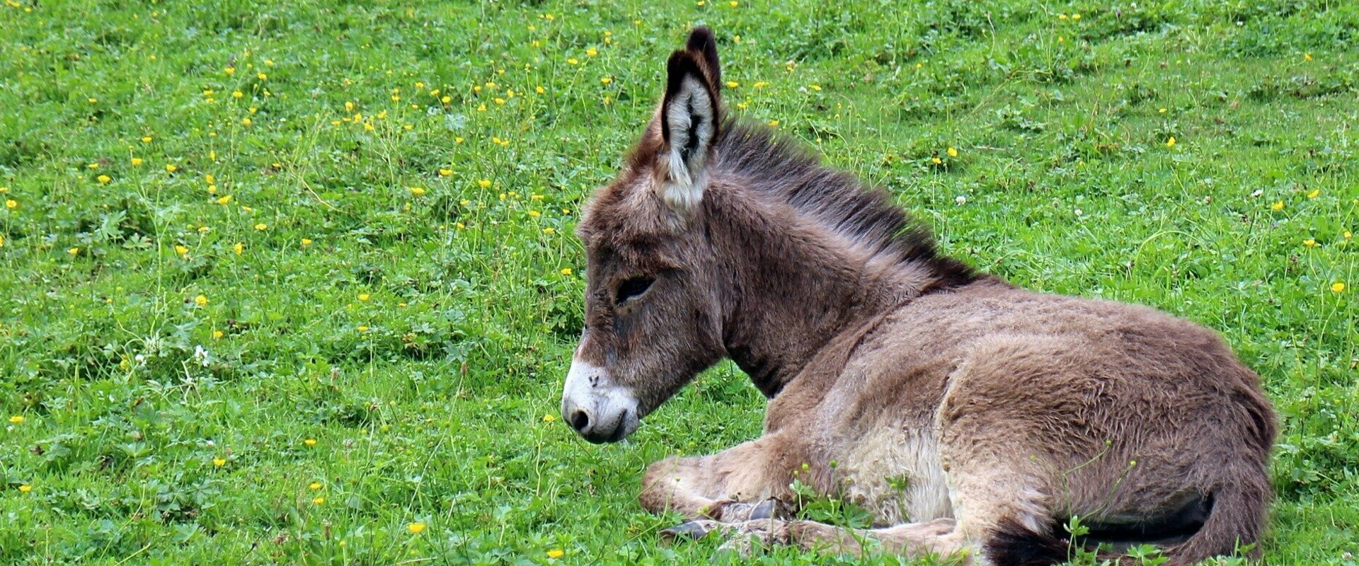 Mairie de Condat sur Ganaveix dans le 19 en Corrèze